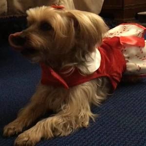 Meet your Posher, Sally